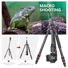 Neewer 79  Carbon Fiber Tripod Monopod  2 Center Axis  Ball Head  26 5lb  Travel