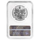 2006-w Burnished  100 American Platinum Eagle 1 Oz Ngc Ms70 Brown Label