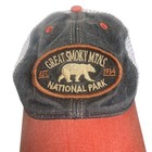 Vintage Great Smoky Mountains National Park Snapback Hat Bear Patch Legacy