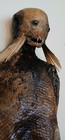 Juan Cabana  Sea Monster Mermaid  Siren  Sideshow Gaff  Creature  34  Taxidermy