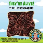 Red Wiggler Mix Composting Worms