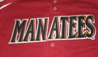 Rare Brevard County Manatees Milb American Flag Jersey - Size 48  1j 