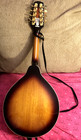 2007 Mm-30s A-style Mandolin W case And W mandolin Book  missing Two Strings 