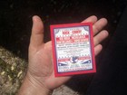 Kid Rock  Nickelback  Rock The Country 2025 Promo Magnet      Lynyrd Skynyrd 