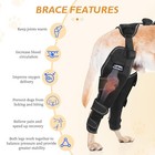 Dog Knee Brace For Acl  Ccl  Or Arthritis Support     Adjustable Rear Leg Harness
