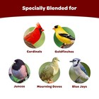 Kaytee Cardinal Seed Cake Wild Bird Food 1 85 Lb High Energy Bird Seed Block