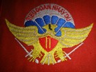 Arvn 11th Airborne Battalion Tieu Doan Nhay Du 11 Patch From Vietnam War Era