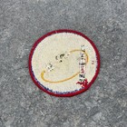 Original Mint Nasa Apollo Ix  9  1969 Cloth Back Variant Crew Patch