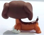 Rare Authentic Littlest Pet Shop Dachshund  675 Lps W  Green Tear Drop Eyes 2006