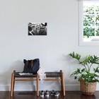 Wall Photo Albert Einstein  1879-1955  Physician Author Of The Relative Theor   