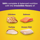 2 Pack Meow Mix Original Choice 30lb Dry Cat Food Adult Chicken Salmon Kibble