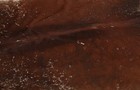 New Cowhide Rugs Area Cow Skin Leather 36 46 Sq feet  75 x70   Cow Hide M1148