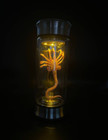 Usa Alien Jar Xenomorph Specimen Facehugger Embryo Glass Jar Movie Prop Replica