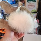 Hansa Original Creation Plush Stuffed Animal Toy International