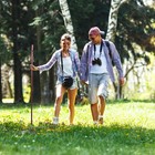 55 In Rustic Wood Walking Stick  Traditional Style Handle  For Men   Women