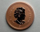 2012 Canada Specimen 1 Cent Coin  Brilliant Uncirculated Penny  Beautiful Coin 