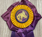 Vtg 1959 Horse Show Ribbon Gilbertsville Pa 1st Place Purple Gold 6  Rosette