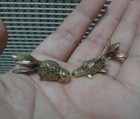 1 Pair Of Vintage Style Solid Brass Goldfish Couples Figurines Statues