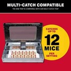 Catchmaster Pro Strength Mouse   Insect Glue Boards 60pk Traps Indoor For Home 