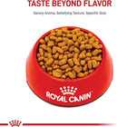 Royal Canin Breed Health Nutrition Maltese Adult Dry Dog Food  2 5 Lb Bag