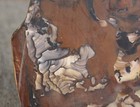 Blue Biggs Jasper Scenic Patterns Thick Slab