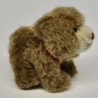 Vintage Steiff Browny Bear Plush 5  Tall 1445 12 Stuffed Animal Button Tags