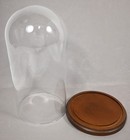 Clear Glass Display Case Dome W  Wood Base Bell Jar Cloche Specimen Clock Euc 