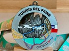 Torres Del Paine Medal