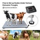 Livestock Scale Kit For Cattle Hogs Sheep Goats Pigs Squeeze Chutes Pallet Scale