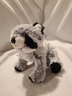 Webkinz Signature Raccoon Original Great Condition No Code Hm143