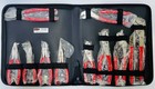 Mac Tools 10 Pc Combination Pliers Set P301817 New   Free Shipping