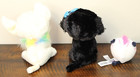 New Ty Beanie Boos Lot 6  Tracey Dog   Chewey Chihuahua Puppy Plush