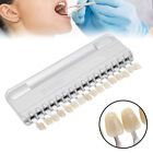 Usa Shade Guide Teeth Dental Materials Durable New A1-d4 16 Colors