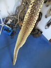 Bull Snake Skin Snake Hide Soft Tanned Bow Wrap Blanks Snake Art Nice 59 In  P5