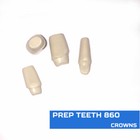 Replacement Teeth Typodont 860  5 Pack  Compatible With Columbia Brand