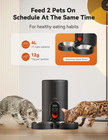 Automatic Cat Feeders 2 Cats-timed Cat Feeder With Stainless Steel Bowl  Program