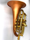 Pocket Flugelhorn   Taylor Phat Puppy - 2026 Satin polished  Taylor Trumpets