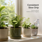 Frog Plant Watering Globe For Potted Plants  For Outdoor Plants - For Home