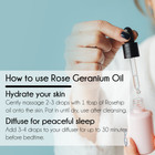 Rose Geranium Essential Oil 100  Pure Many Sizes Free Shipping