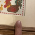 Vintage Cross Stitch Chickens This Is An Equal Opportunity Kitchen