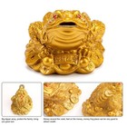 Feng Shui Money Frog  Lucky Money Toad Decorations ideal For Attracting Wealth