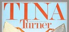 Tina Turner     Rare Vintage Original 1979 Concert Poster   rough    a1 