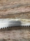 Silky Sugoi Pro 360mm Arborist Hand Saw W  Scabbard 390-36
