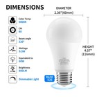 6 12 24pack Dimmable A19 Led Light Bulb 60w Equivalent Daylight 800lm 5000k Bulb