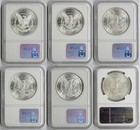 Lot 6 Different Date Morgan Dollar  1 Ms 64 Ngc 6 Coins