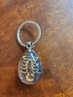 Real Scorpion And Spider Insect Keychains  Free Shipping 