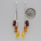 Multi-color Baltic Amber Dangle Earrings - 925 Sterling Silver  4802e