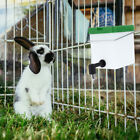 Rabbit Water Bottle Guinea Pig Water Bottle Hamster Water Bottle