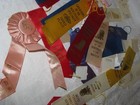 Group Of 41 Vintage King Charles Cavalier Show Ribbons Some Used   Some Not