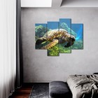 Turtle Swimming In Bottom Of Sea Wall Art Painting The Picture Print On Canva